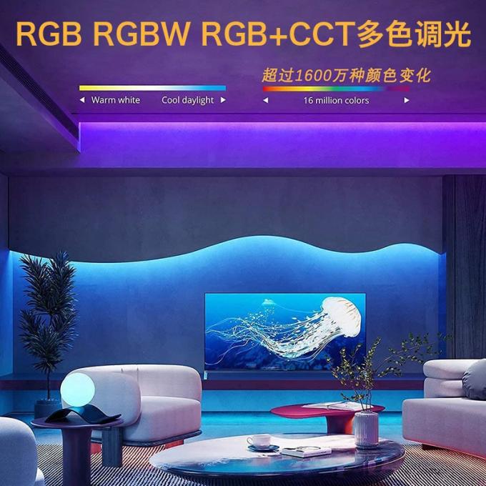 Commerciële Magic COB LED Strip Dream Full Color DC 24V Adreserbaar 5