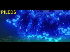 dc12v 26mm 3led pixel ucs1903 ws2811 19mm gat amusement led bubbels led pixel munt